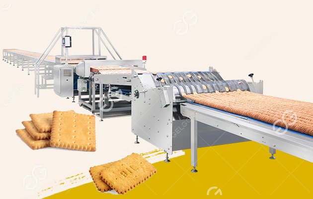 Planta automática de galletas